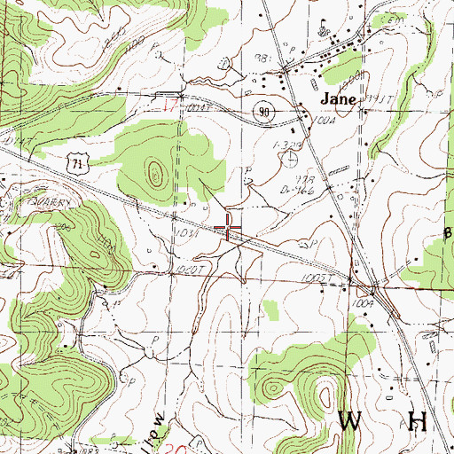 Topographic Map of Town of Jane, MO