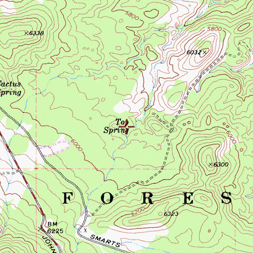 Topographic Map of Top Spring, CA