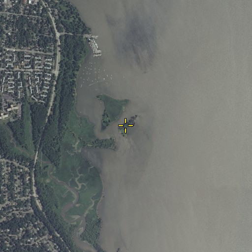 Aerial/Satellite Image of Coconut Island, VA