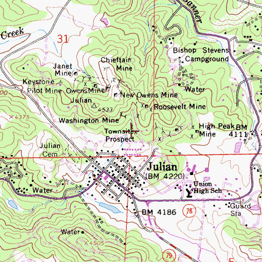 Topographic Map of Townsite Prospect, CA