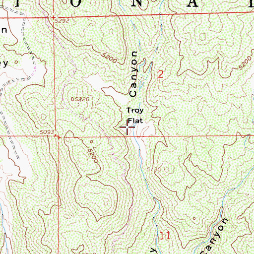 Topographic Map of Troy Flat, CA