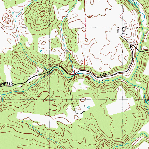 Topographic Map of Downs Run, KY