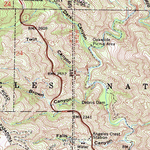 Topographic Map of Twin Canyon, CA