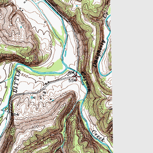 Topographic Map of Carmon, KY