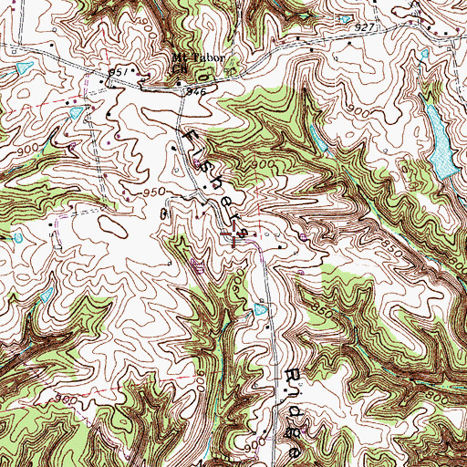 Topographic Map of South Mount Tabor (historical), KY