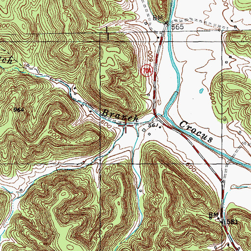 Topographic Map of Morris Branch, KY