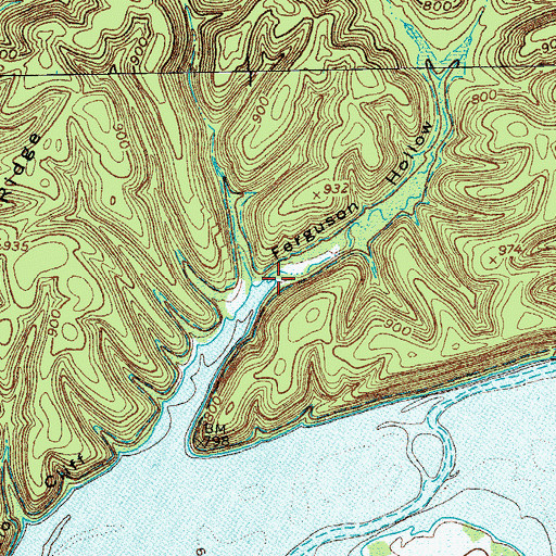 Topographic Map of Ferguson Hollow, KY