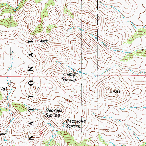 Topographic Map of Cedar Spring, AZ