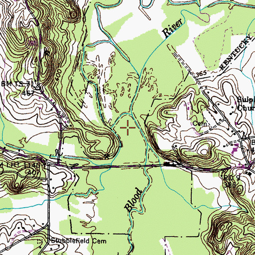 Topographic Map of Blood River Bottoms, KY