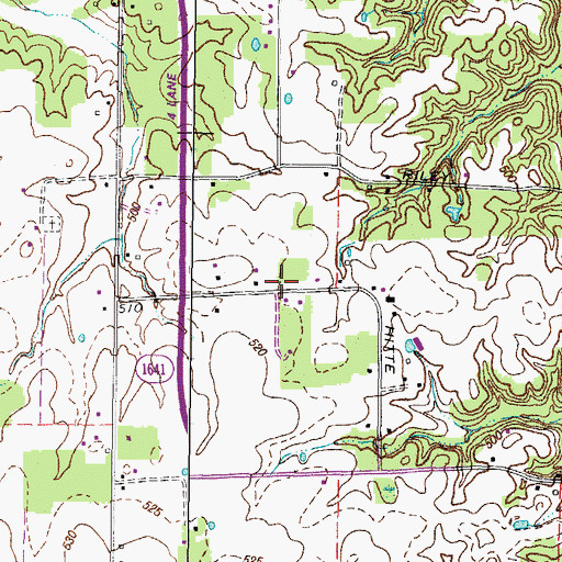 Topographic Map of Flatwoods, KY