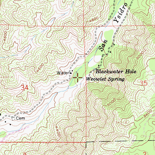 Topographic Map of Weowlet Spring, CA