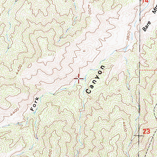 Topographic Map of West Fork Bare Mountain Canyon, CA
