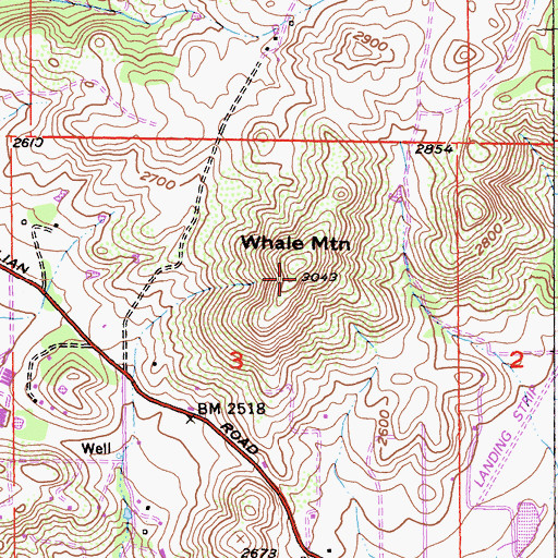 Topographic Map of Whale Mountain, CA