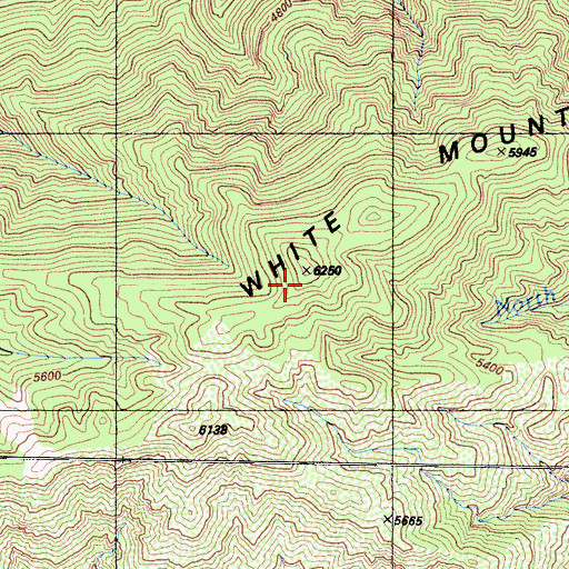Topographic Map of White Mountain, CA