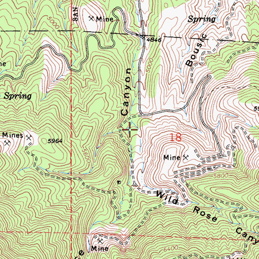 Topographic Map of Wild Rose Canyon, CA