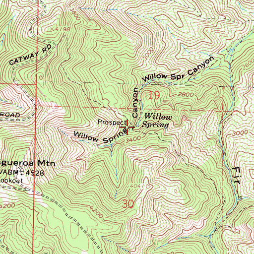 Topographic Map of Willow Spring, CA