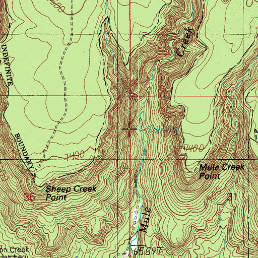 Topographic Map of Mule Creek Spring, AZ