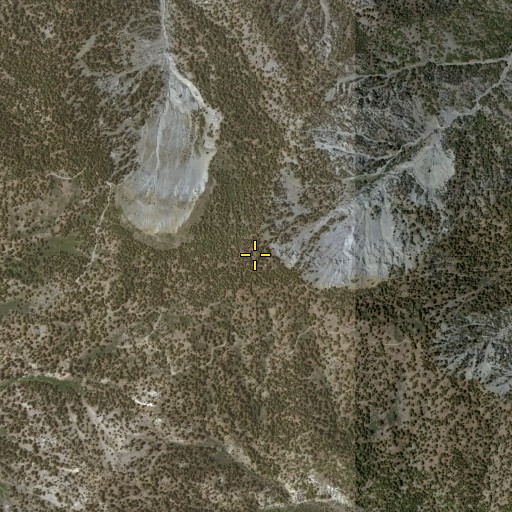 Aerial/Satellite Image of Wright Mountain, CA