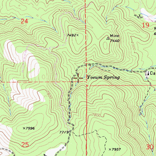 Topographic Map of Yocum Spring, CA