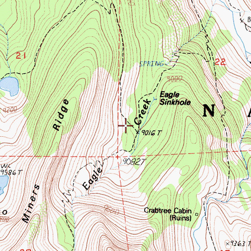 Topographic Map of Eagle Sinkhole, CA
