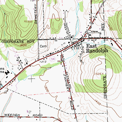 Topographic Map of East Randolph Census Designated Place, NY