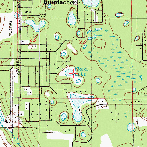 Topographic Map of Floral Lake, FL