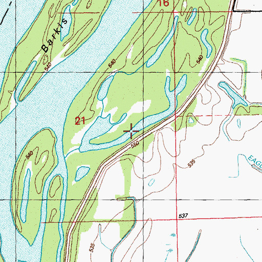 Topographic Map of Eagle Fill, IL