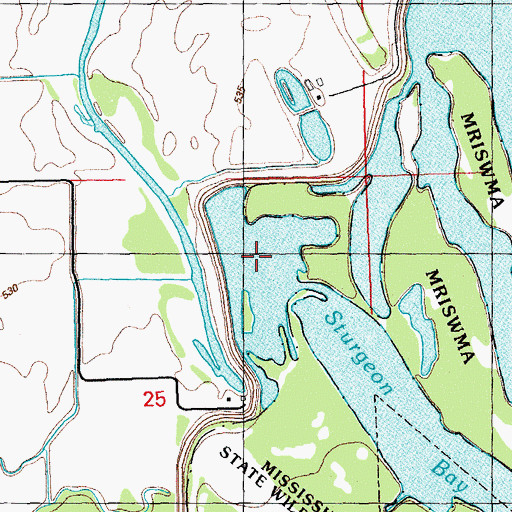 Topographic Map of Bell Pocket, IA