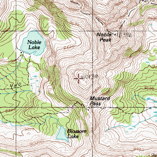 Topographic Map of Ferris Peak, MT