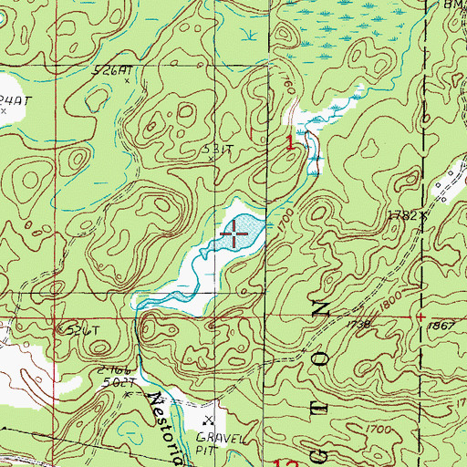 Topographic Map of LeMays Lake, MI
