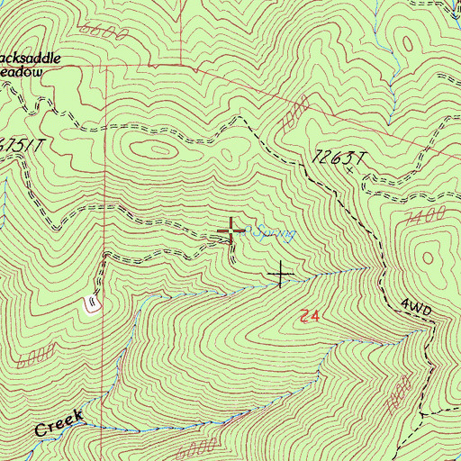 Topographic Map of Lion Spring, CA