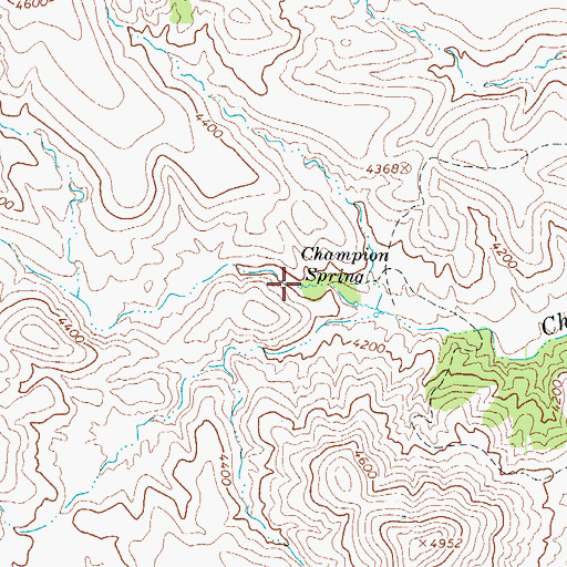 Topographic Map of Champion Spring, AZ