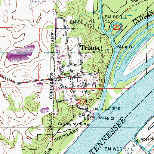Topographic Map of Triana Police Department, AL