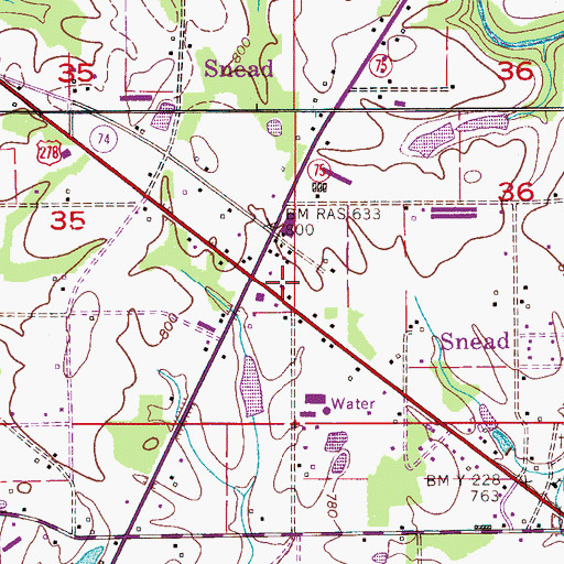 Topographic Map of Snead Police Department, AL