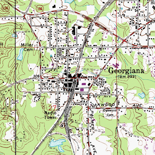 Topographic Map of Georgiana Police Department, AL