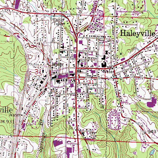 Topographic Map of Haleyville Police Department, AL