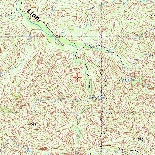 Topographic Map of West Fork Lion Camp, CA