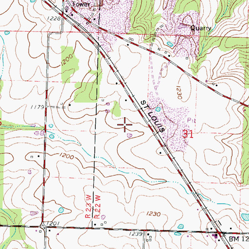 Topographic Map of Willard Police Department, MO