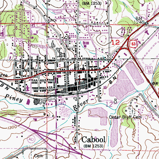 Topographic Map of Cabool Police Department, MO