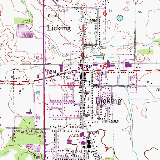 Topographic Map of Licking Police Department, MO