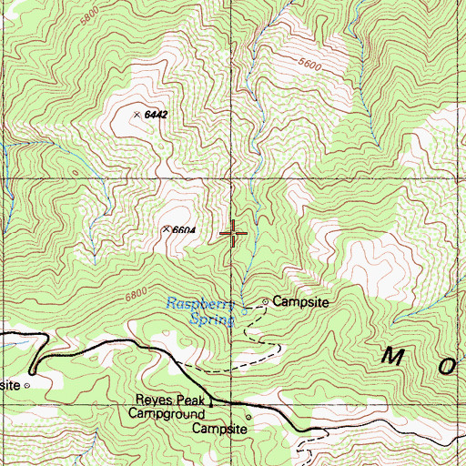 Topographic Map of Raspberry Spring, CA