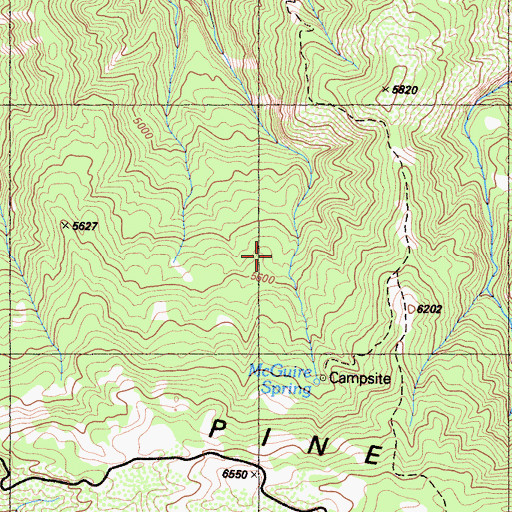Topographic Map of McGuire Spring Rustic Campsite, CA