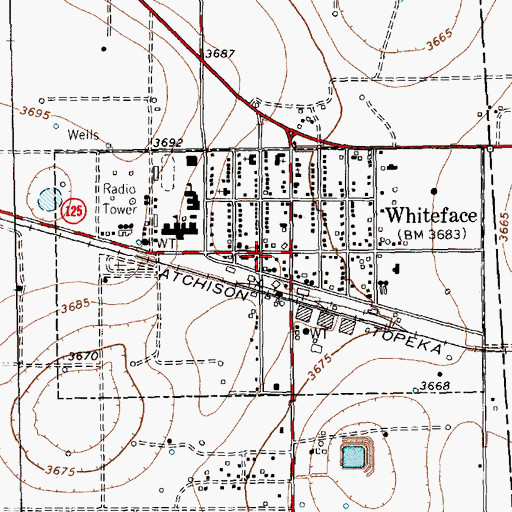 Topographic Map of Whiteface City Hall, TX