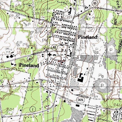 Topographic Map of Pineland City Hall, TX