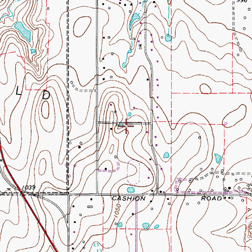 Topographic Map of Cashion City Hall, TX