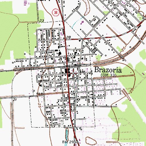 Topographic Map of Brazoria City Hall, TX