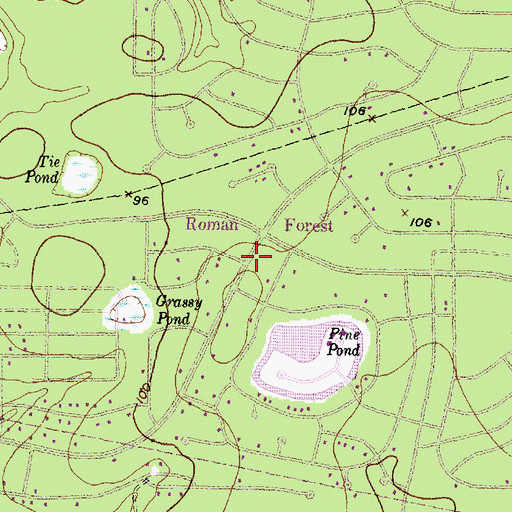 Topographic Map of Roman Forest City Hall, TX