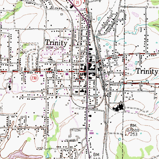 Topographic Map of Trinity City Hall, TX