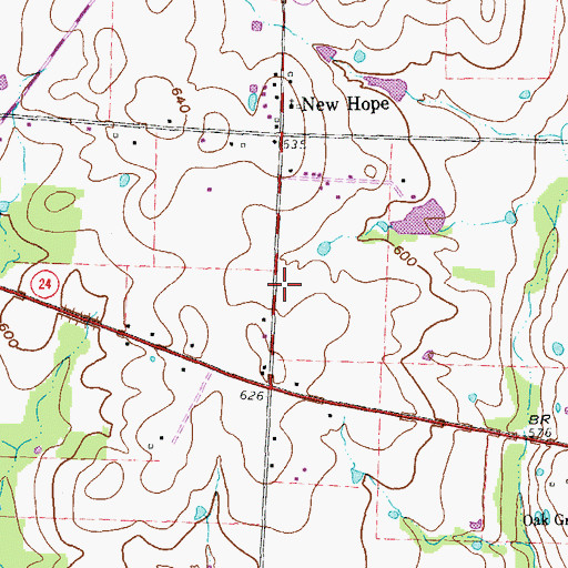 Topographic Map of Cross Roads Town Hall, TX