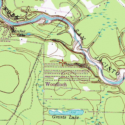 Topographic Map of Woodloch City Hall, TX